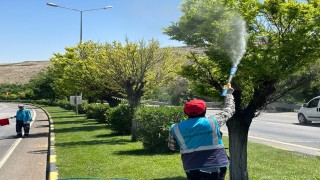 Gaziantep Büyükşehir’den Kene ve Haşerelere Karşı Yoğun İlaçlama Seferberliği
