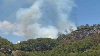 Gazipaşada ormanlık alanda yangın