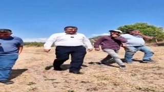 Gedizde hasat coşkusu başladı, Başkan Akel çiftçilerin yanında