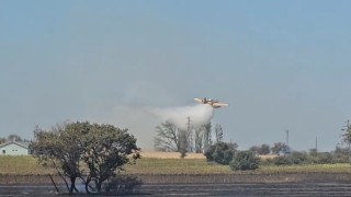 Geliboluda tarım arazisinde çıkan yangın kontrol altına alındı