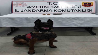 Germencikte durdurulan araçta uyuşturucu ele geçirildi