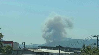 Geyvede ikinci orman yangını çıktı