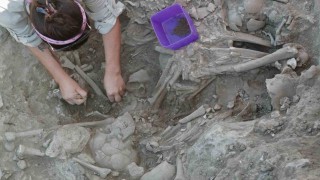 Gökçeada Uğurlu-Zeytinlik kazılarında tarım ve hayvancılığa dayalı ilk köy yerleşimi bulundu