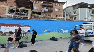 Gökler Beldesinde boş duvarlar sanat eserine dönüştü