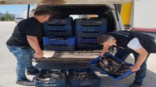 Gölde sürdürülebilir balıkçılık için denetimler sıklaştırıldı