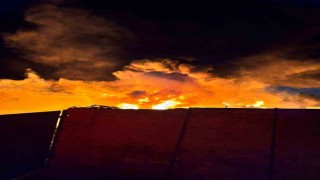 Gömeçte hurdalık yangını korkuttu