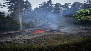 Gümüşhanedeki orman yangını söndürüldü