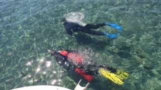 Gündoğanda deniz dibi temizliği