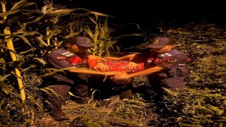 Gürcistana kaçmak isteyen firari şahıs sınırda yakalandı