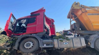 Hafriyat kamyonu ağaca çarptı: 2 yaralı