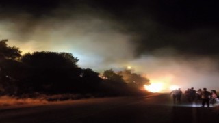 Hakkari-Çukurca karayolu üzerinde orman yangını çıktı