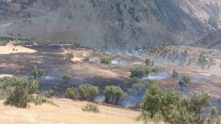 Hakkaride anız yangını
