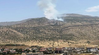 Hakkaride orman yangını