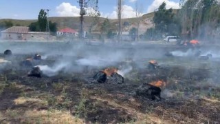 Hakkaride yaklaşık bin 500 bağ ot kül oldu