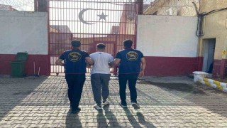 Hapis cezasıyla aranan şahıs Efelerde yakalandı