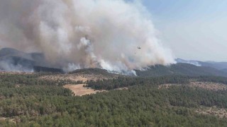 Harmancık Meyrandağındaki yangın dronla böyle görüntülendi