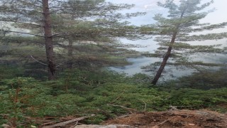 Hasanbeylide çıkan orman yangını kontrol altına alındı