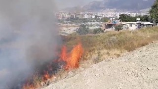 Hatayda çıkan bahçe yangını büyümeden söndürüldü