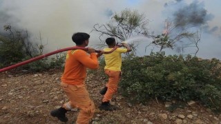 Hatayda çıkan orman yangını kısa sürede kontrol altına alındı