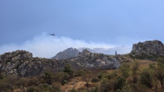 Hatayda orman yangını