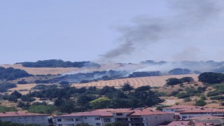 Havzada anız yangını ormana sıçradı