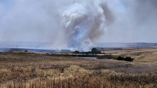 Hayraboluda çıkan anız yangını söndürüldü