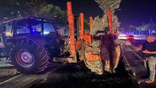 Hazardağlı Kavşağındaki ağaçlar taşınarak koruma altına alınıyor