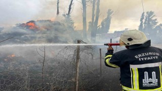 Hınısta ot yangını