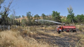 Hobi bahçesinde çıkan yangın 8 dönüm yulaf tarlasını küle çevirdi