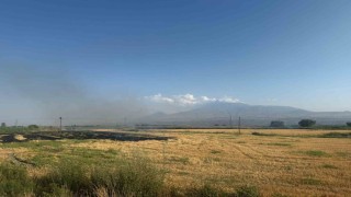 Iğdırda çıkan anız yangını gün boyu sürdü