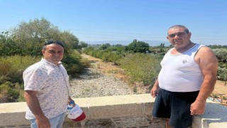 İkizdere Barajından su bırakılmadı, ağaçlar kurudu