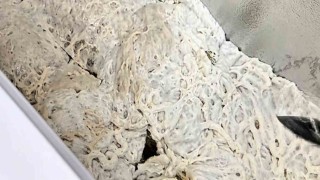 İşkembe görünümlü zula ekipleri şaşırttı