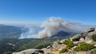 İspanyada 3 farklı noktada orman yangını