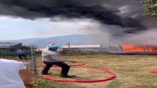 İspirde ormanlık alanda yangın