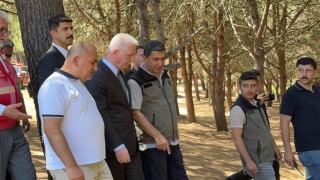 İstanbul Valisi Davut Gül, Sultangazi Kent Ormanında incelemelerde bulundu: Yangın kontrol altına alındı