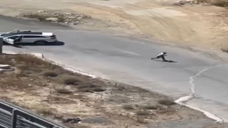 İstanbulda aranan firari nefes kesen kovalamacada yakalandı, o anlar kameraya yansıdı