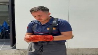 İtfaiye Görevlisi Yakaladığı Yılana Su İçirdi