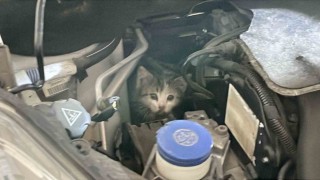 İtfaiye istasyonuna giderek yardım istedi, aracının motor kısmından kedi çıktı