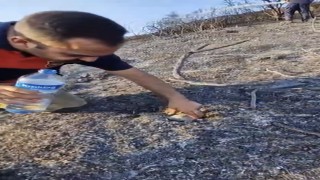 İtfaiyeciden, alevler içinde mahsur kalan kaplumbağaya can suyu