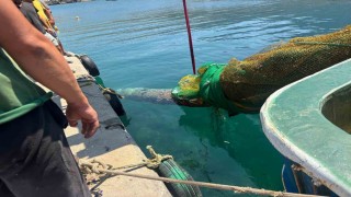 İzmir Karaburunda balıkçı ağına denizaltı torpidosu takıldı