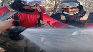 İzmir yangınında itfaiyeciler balığı kurtardı
