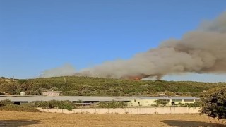 İzmirde ormanlık alanda yangın