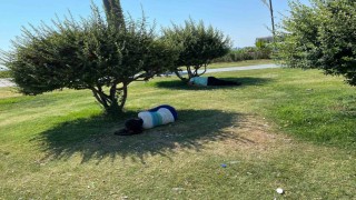 İzmirde sıcak hava bunalttı, vatandaşlar ağaç gölgelerine kaçtı