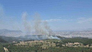 İzmirde yeni orman yangını: Bucaya havadan ve karadan müdahale