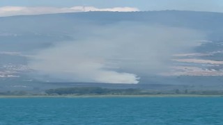 İznikte orman yangını