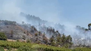 İznikte orman yangını kontrol altına alındı