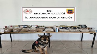 Jandarmadan kaçakçılara operasyon