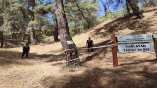 Jandarmadan ‘orman nöbeti