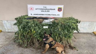 Jandarmadan uyuşturucu operasyonu: 2 gözaltı