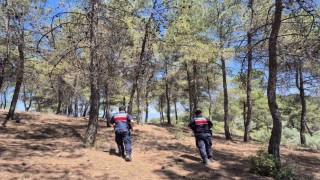 Jandarmanın ‘orman nöbeti aralıksız devam ediyor